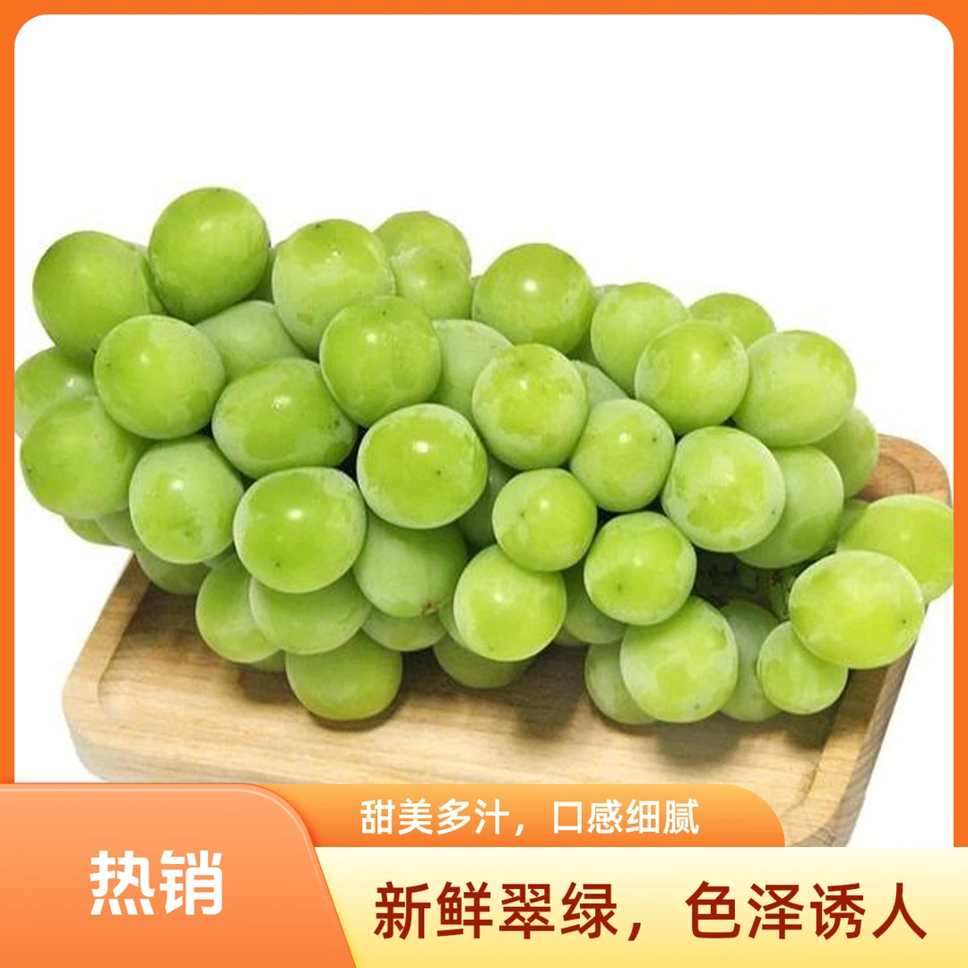 【京东专送】精品阳光玫瑰葡萄