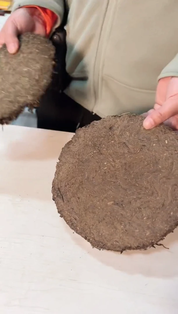 高马二溪2008年千两饼600克