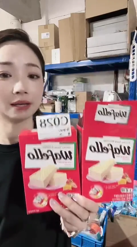 瓷片进口家用百货草莓味威化饼干两盒C028