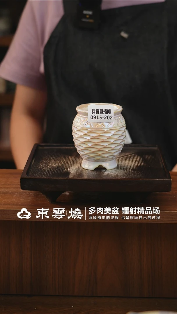 0915-202A 橄榄瓶 内口6