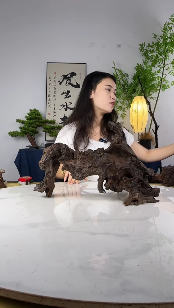 C****?沉木一物一拍链接