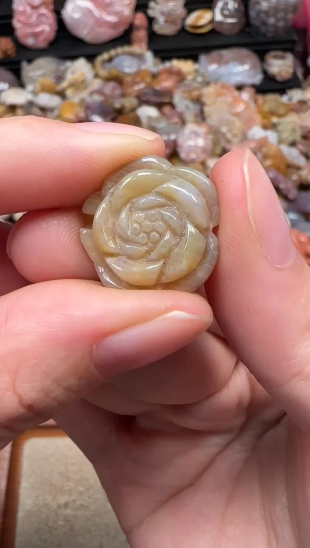 颈饰未镶嵌硅化珊瑚（珊瑚玉）809