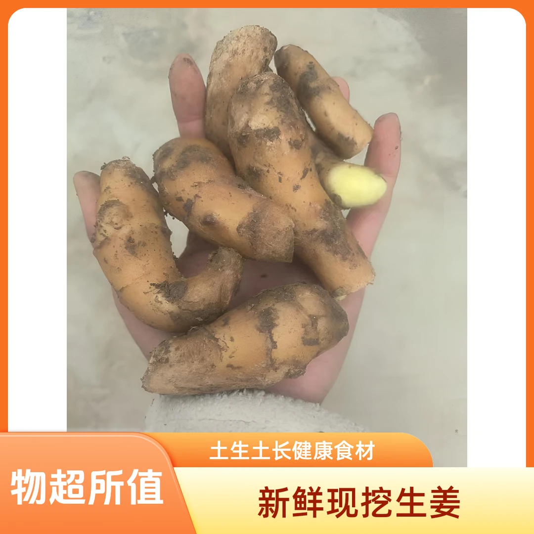 限量抢3斤特小碎头生姜炒菜调味洗头泡脚山东大姜