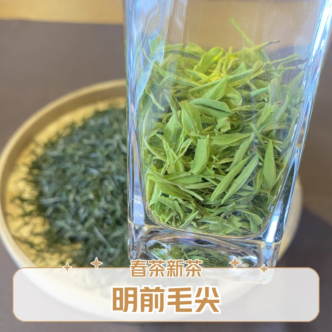 明前毛尖 春茶2025新茶三峡五峰采花毛尖工艺邓村非遗手工绿茶