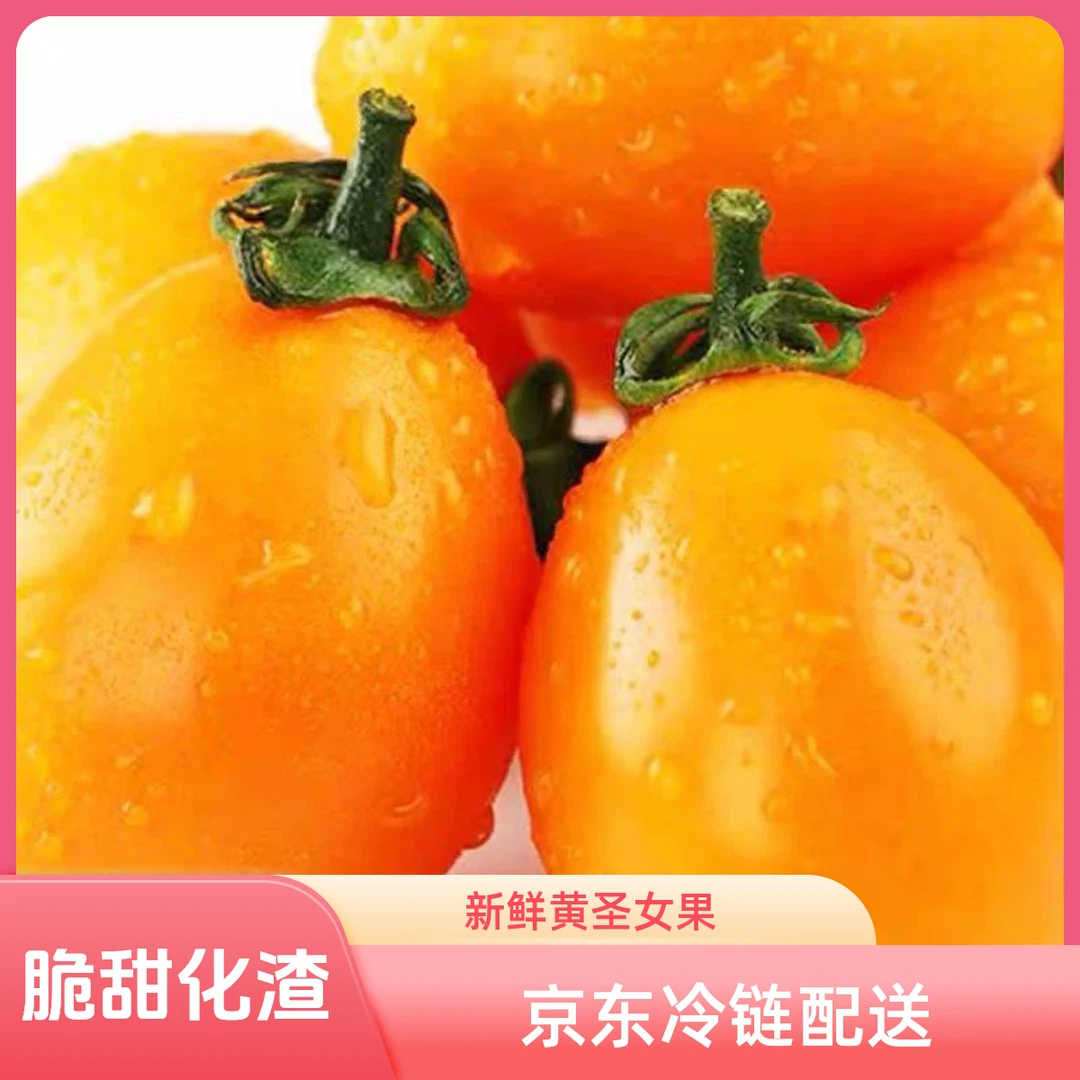 新鲜黄金圣女果生吃黄色小番茄水果小西红柿千禧果1.8-2斤千禧圣女果广东省广东省东营市