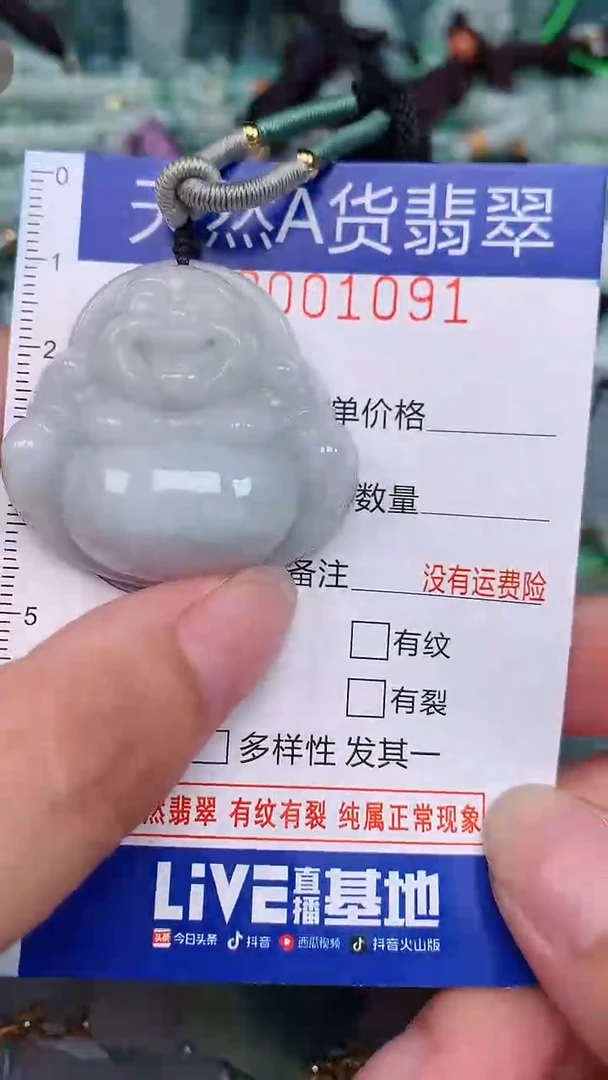 翡翠未镶嵌颈饰...0001091