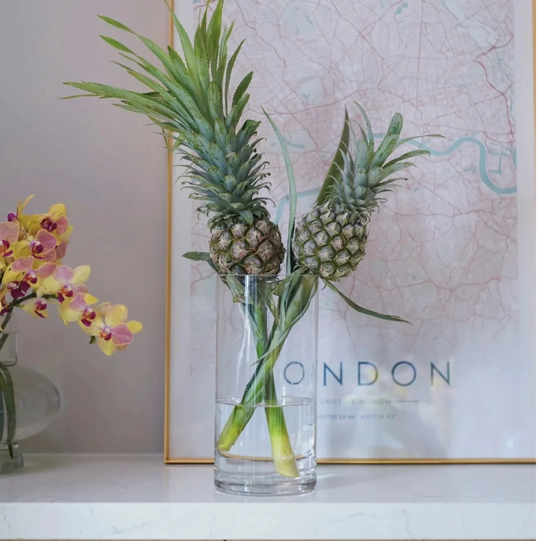 【小菠萝】精选品质1枝全场任意满两单及以上顺丰包邮包邮 明天送到家