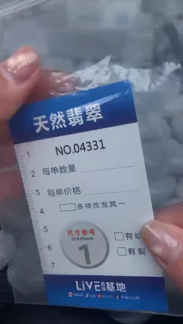 颈饰未镶嵌翡翠纯天然A货翡翠