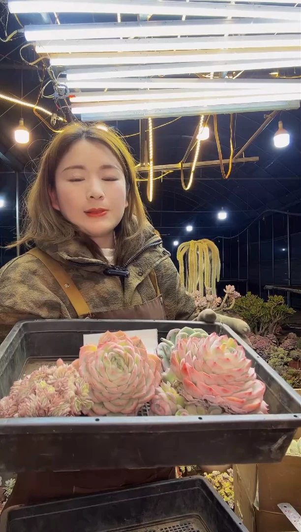 【闪购商品】框拍4号一物一拍微瑕不售后