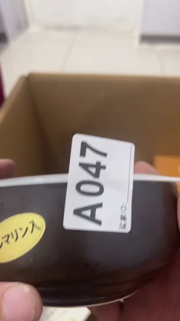 紫砂瓷器水杯一物一拍邢****4瓷器水杯一物一拍