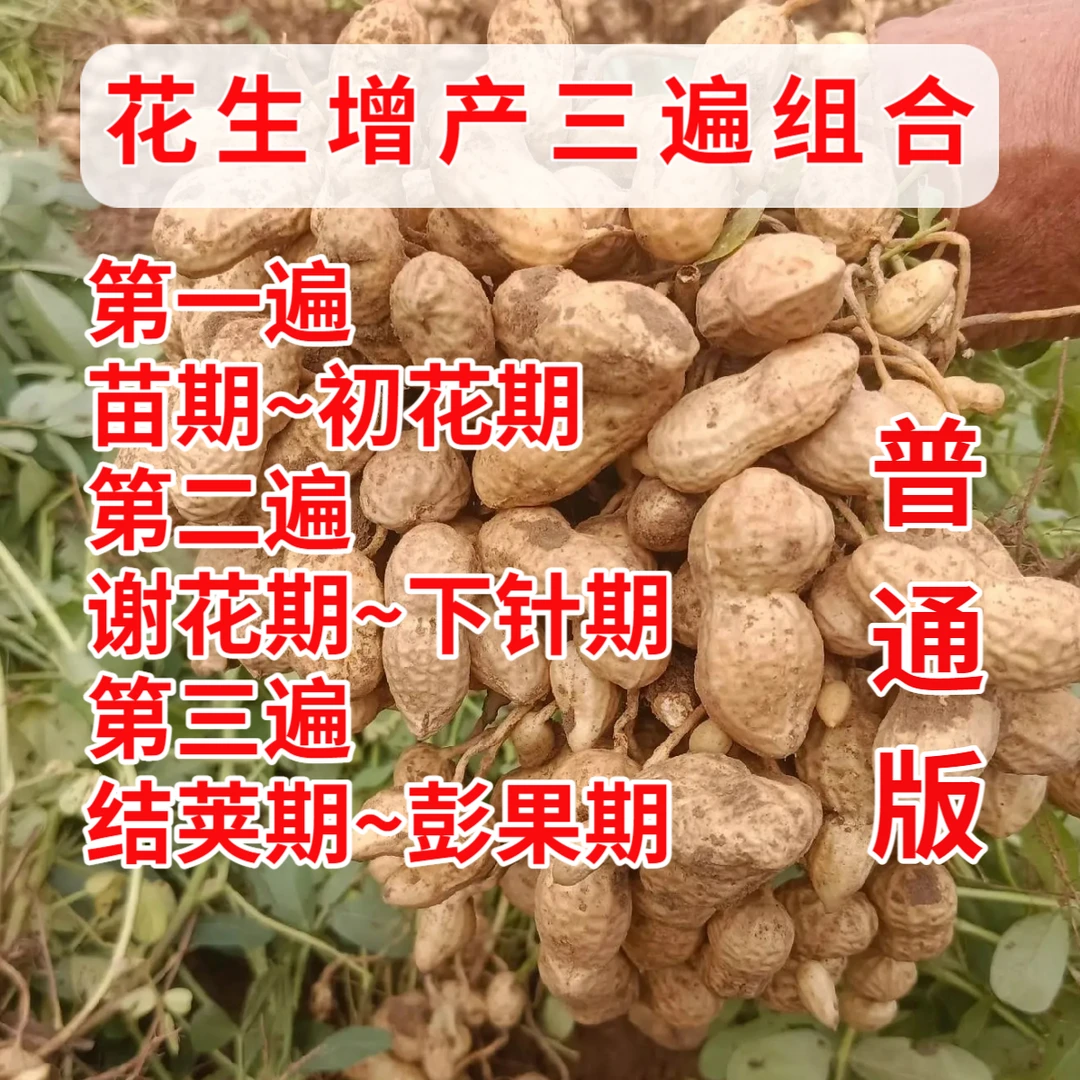 普通型花生增产三遍组合