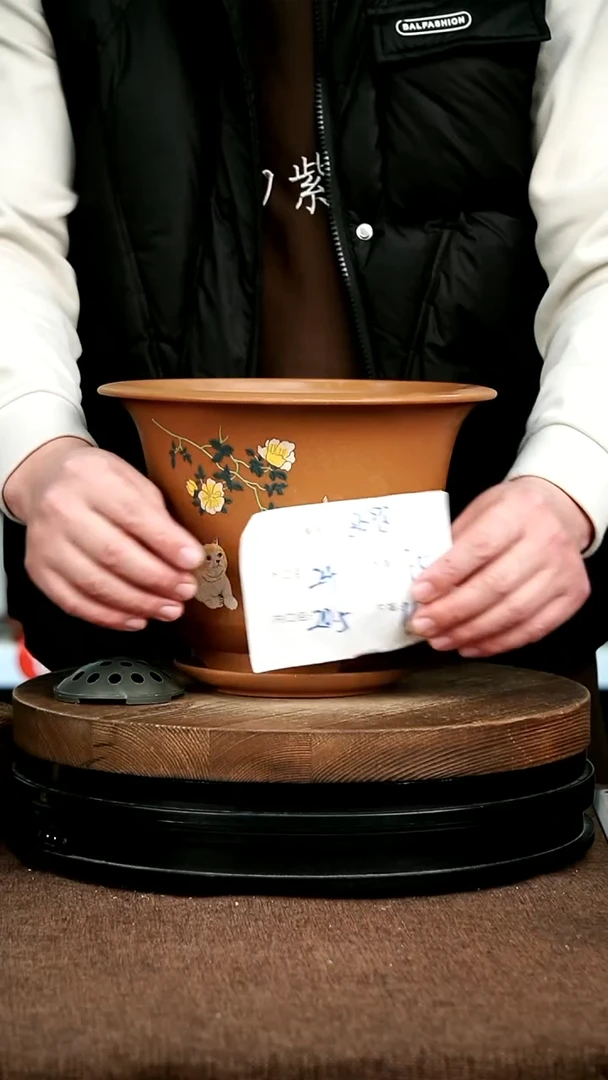 紫砂花盆花卉园艺8698+Z