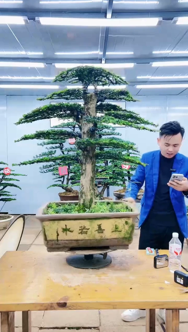 000000000000000000000