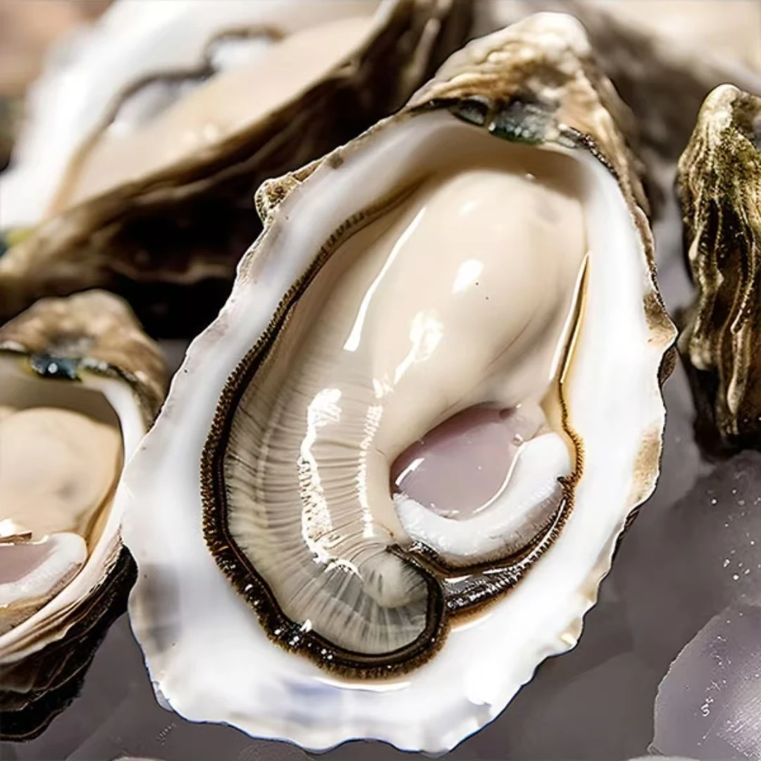 （仅限珠三角地区）鲜活乳山金标大生蚝4-5XL5斤/10斤