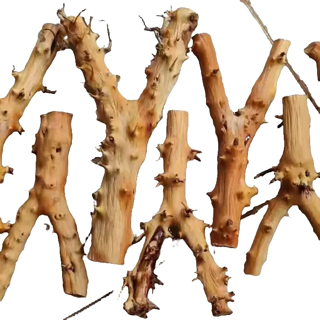 南对节弹弓叉，有喜欢的朋友可以互相交流！