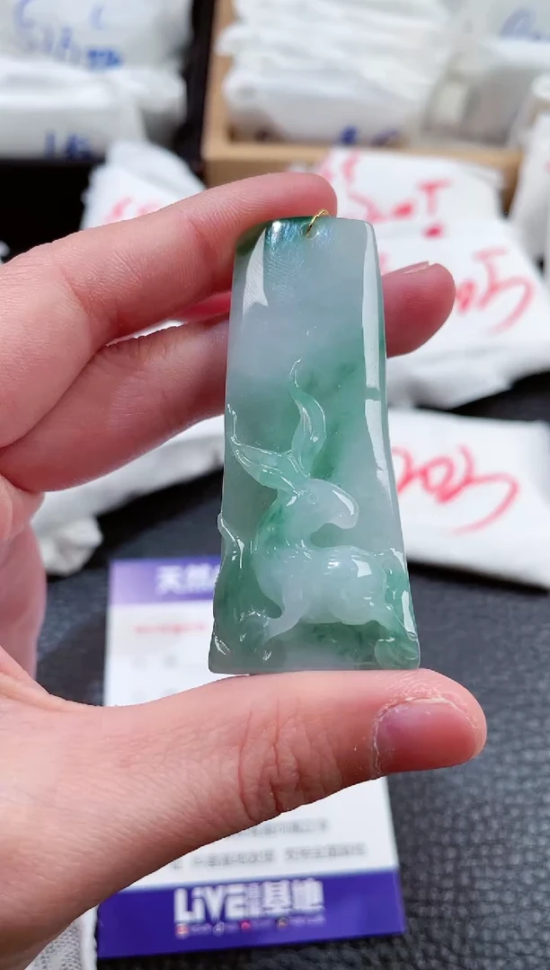 【闪购商品】翡翠颈饰未镶嵌00000072