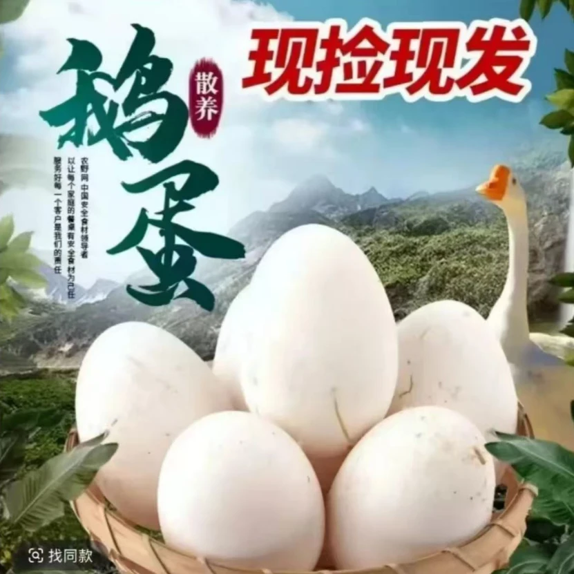 【买10枚送10枚】新鲜现捡谷物土鹅蛋农家单黄鹅蛋80g-100g破损包赔