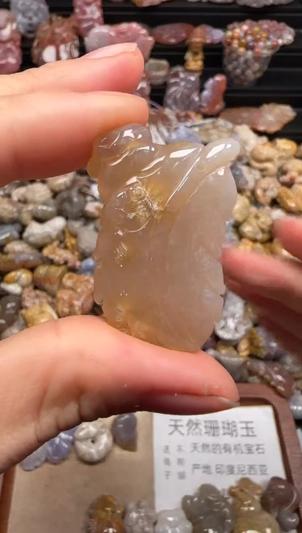 【闪购商品】硅化珊瑚（珊瑚玉）颈饰未镶嵌510