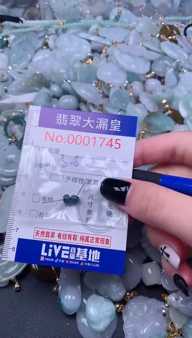 颈饰未镶嵌翡翠1745