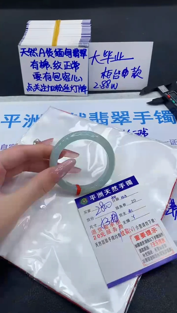 未镶嵌手镯翡翠11111111