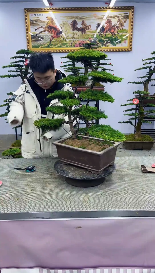 【闪购商品】一物一拍，所见即所得啊啊啊