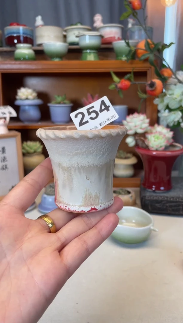 瓷片254知木小芳花盆