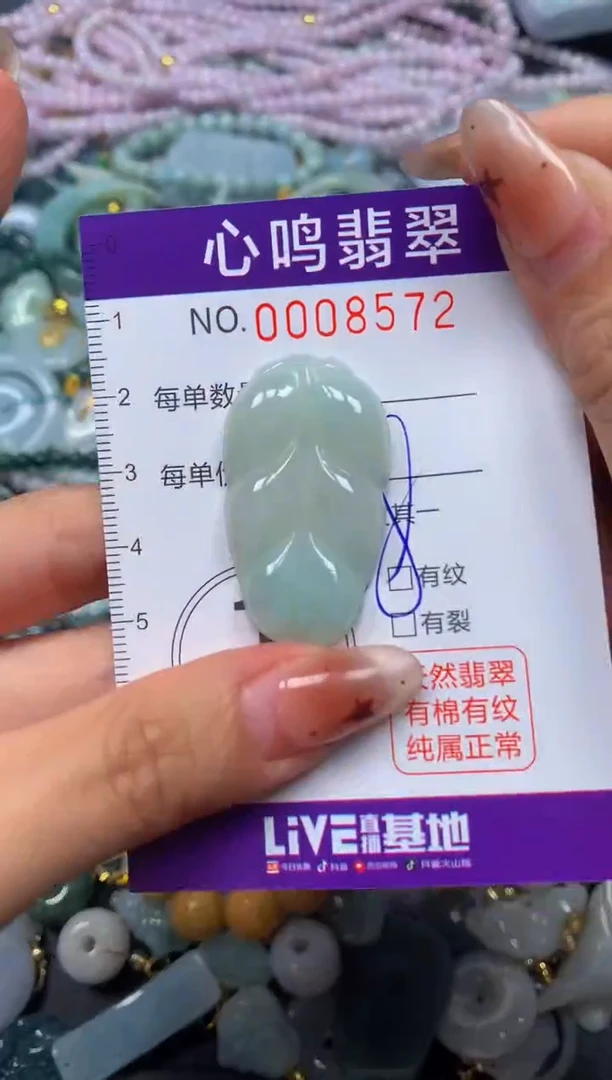 翡翠未镶嵌颈饰闪购008572