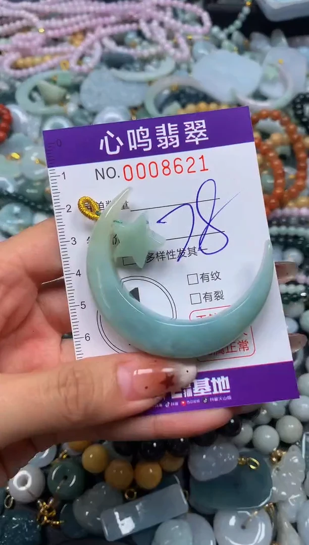 翡翠未镶嵌颈饰闪购008621