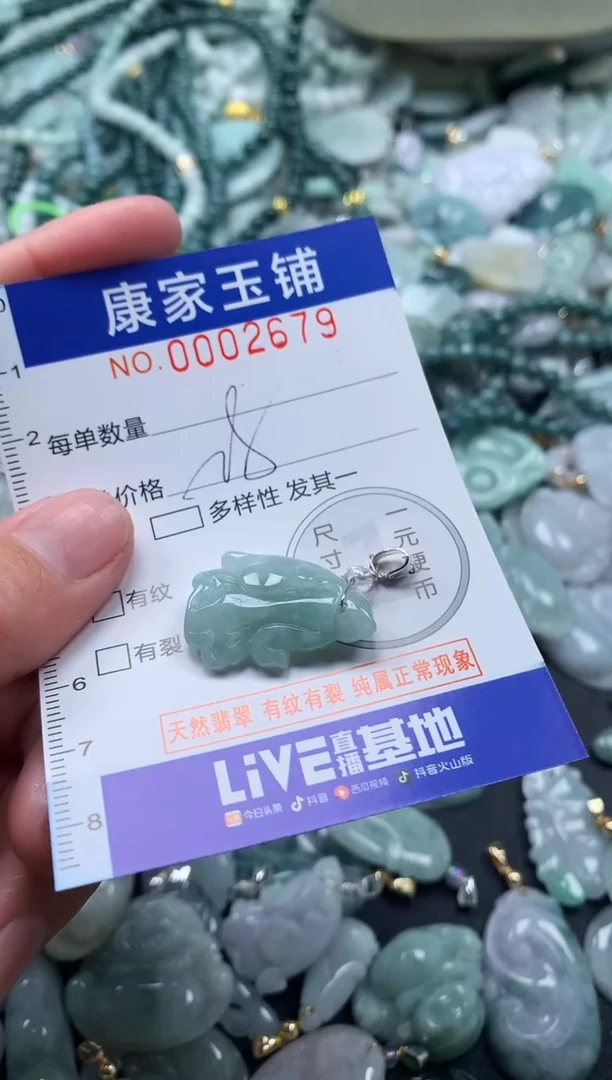 颈饰未镶嵌翡翠2679