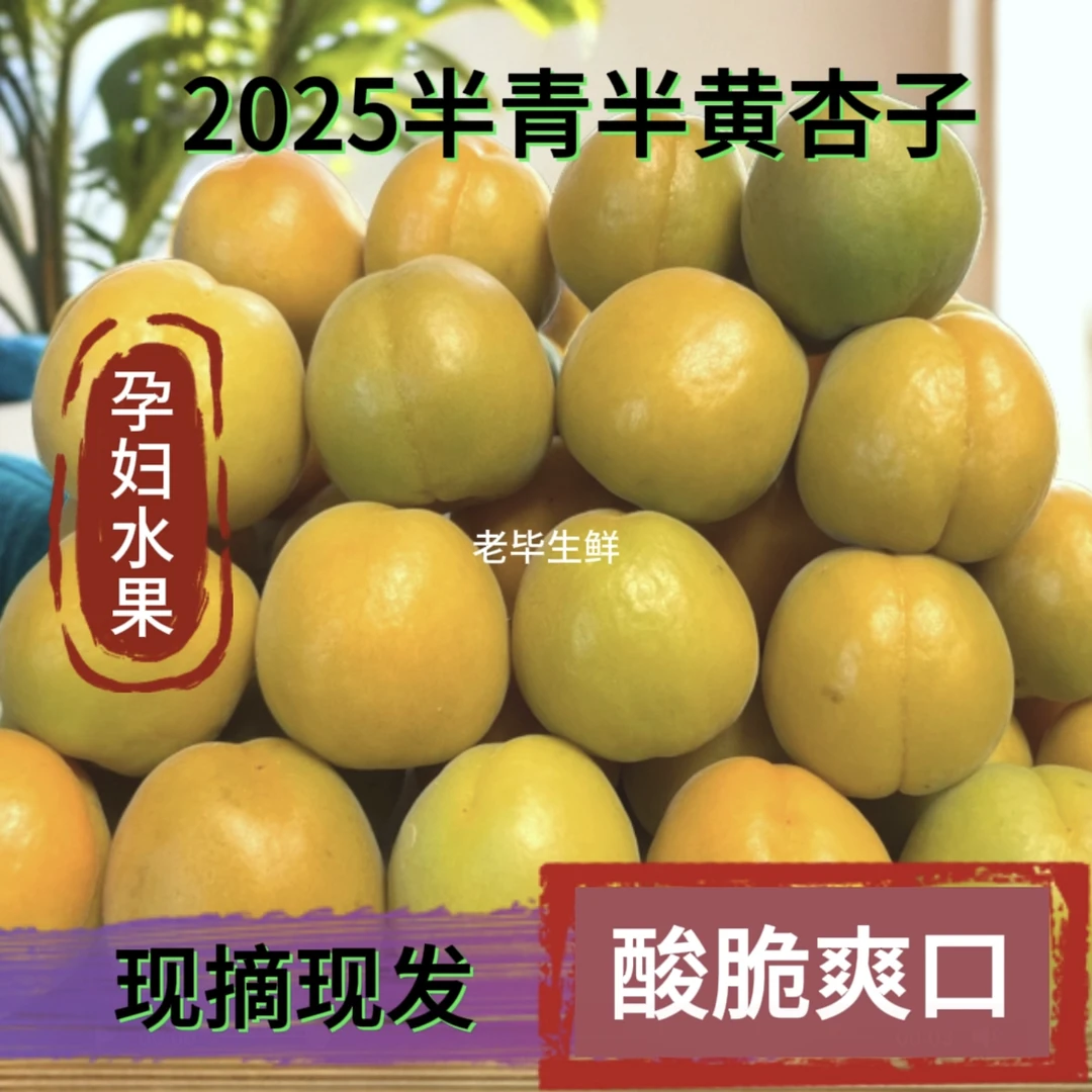 京东快递【半青半黄 太阳杏】Y孕妇水果酸脆爽口新鲜采摘应季水果