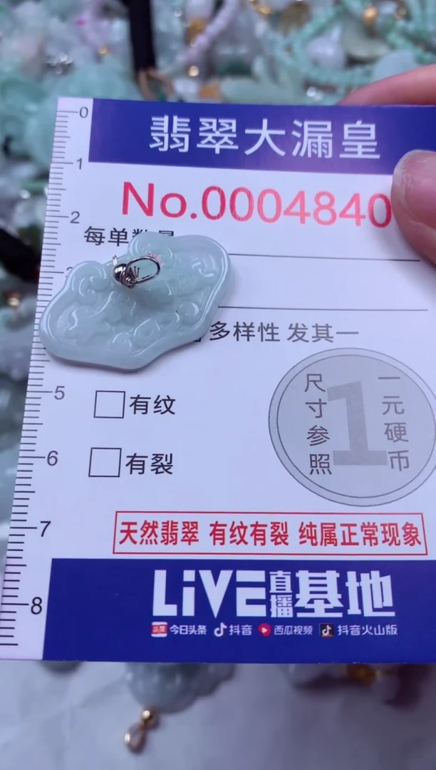吊坠(不含链)未镶嵌翡翠4840