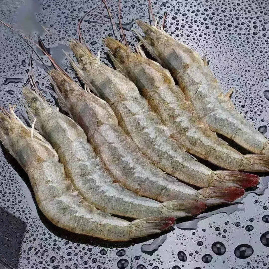 【海水大虾】肉质鲜甜脆嫩 海洋大虾70-80只 多仓发货顺丰次日达