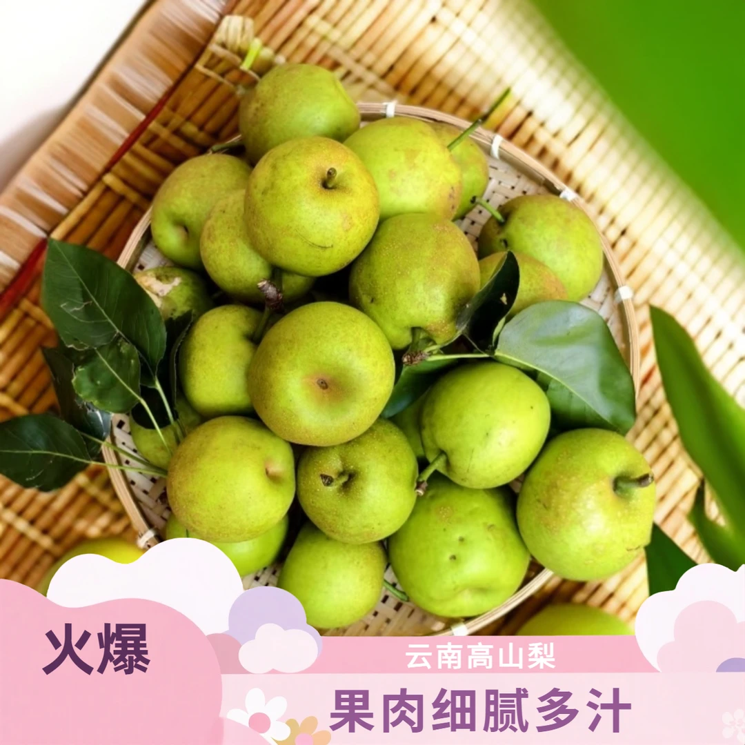 云南新鲜早梨当季现摘翠冠梨子脆甜可口蜜梨皮薄汁多