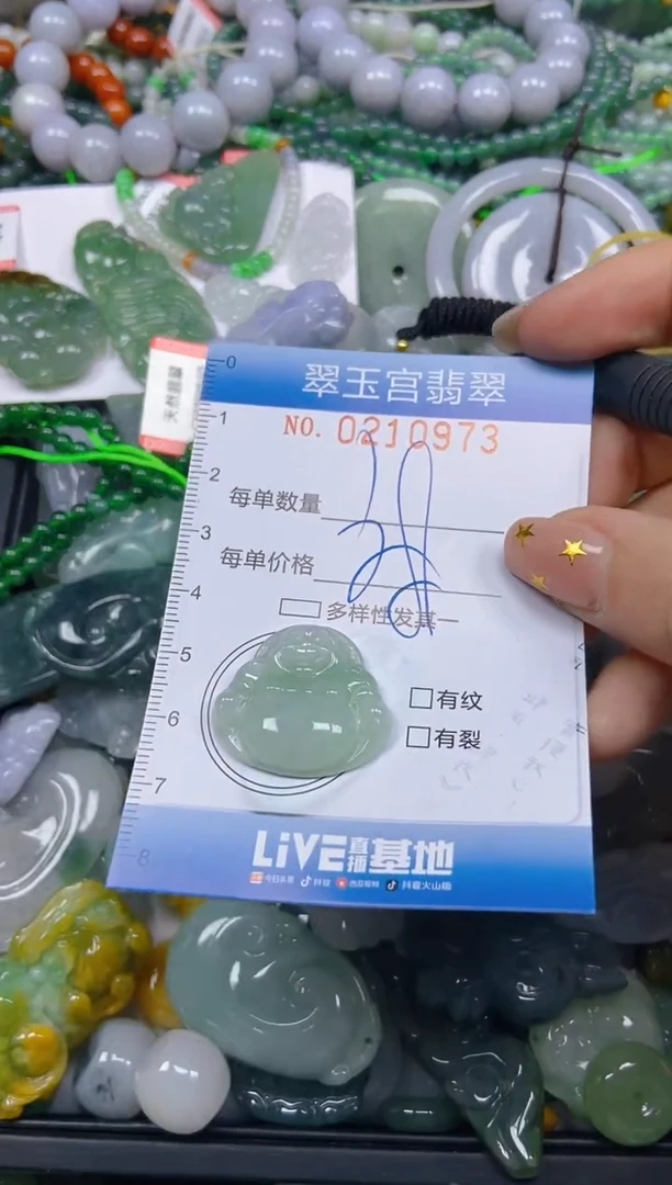 颈饰未镶嵌翡翠闪购C0210973