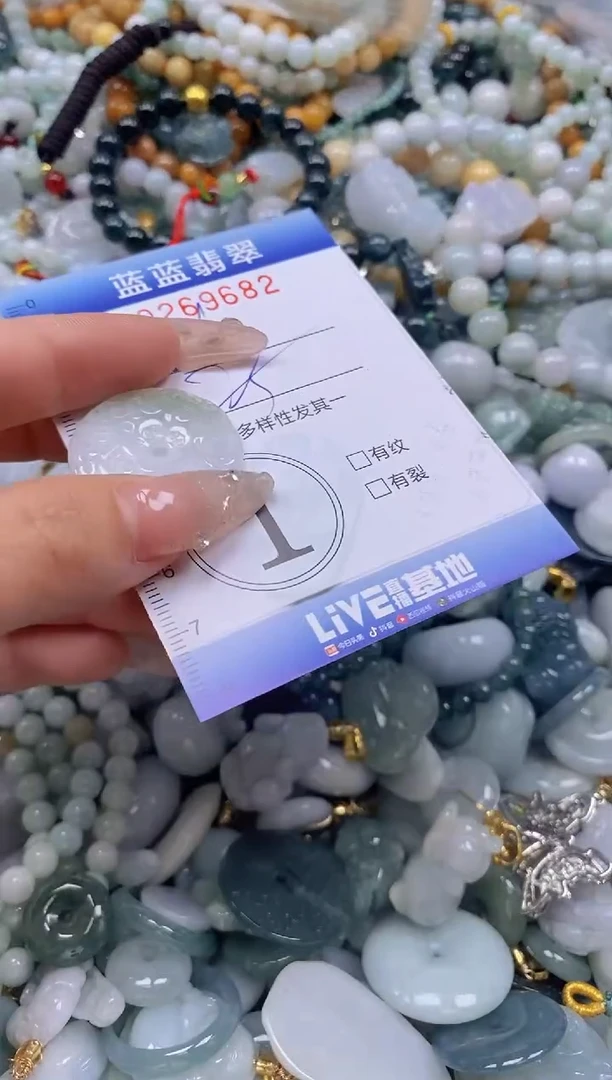 翡翠未镶嵌颈饰闪购0269682多样性发其一