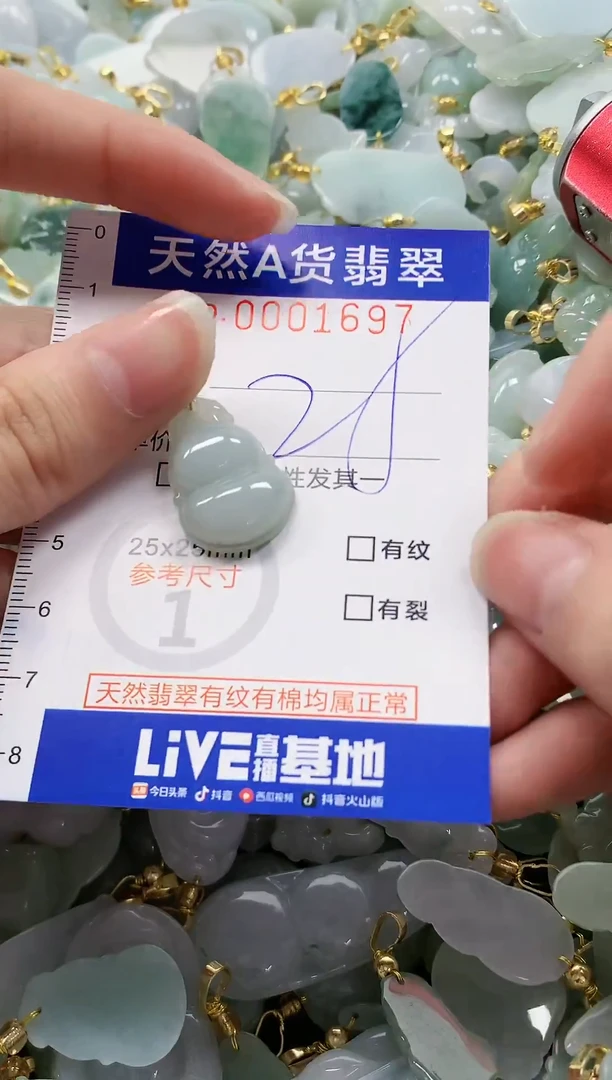 颈饰未镶嵌翡翠纯天然a货翡翠