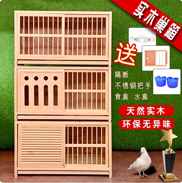 赛飞鸽子配对笼松木巢箱鸽子养殖必备用品