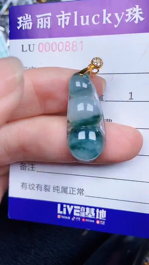 颈饰银S925镶嵌翡翠0881