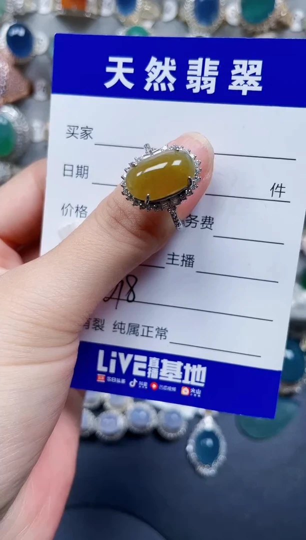 银S925镶嵌翡翠耳饰618