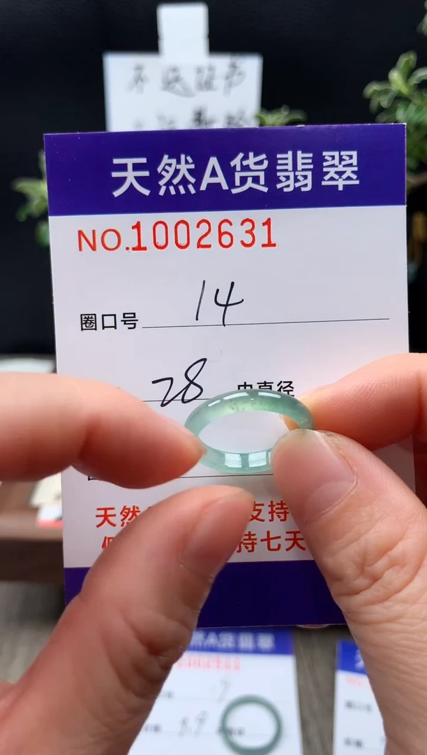 未镶嵌戒指翡翠14#