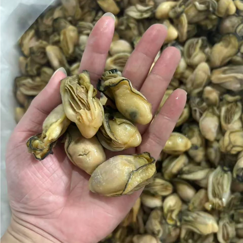 【中秋专场】精选金蚝干50头 生晒
