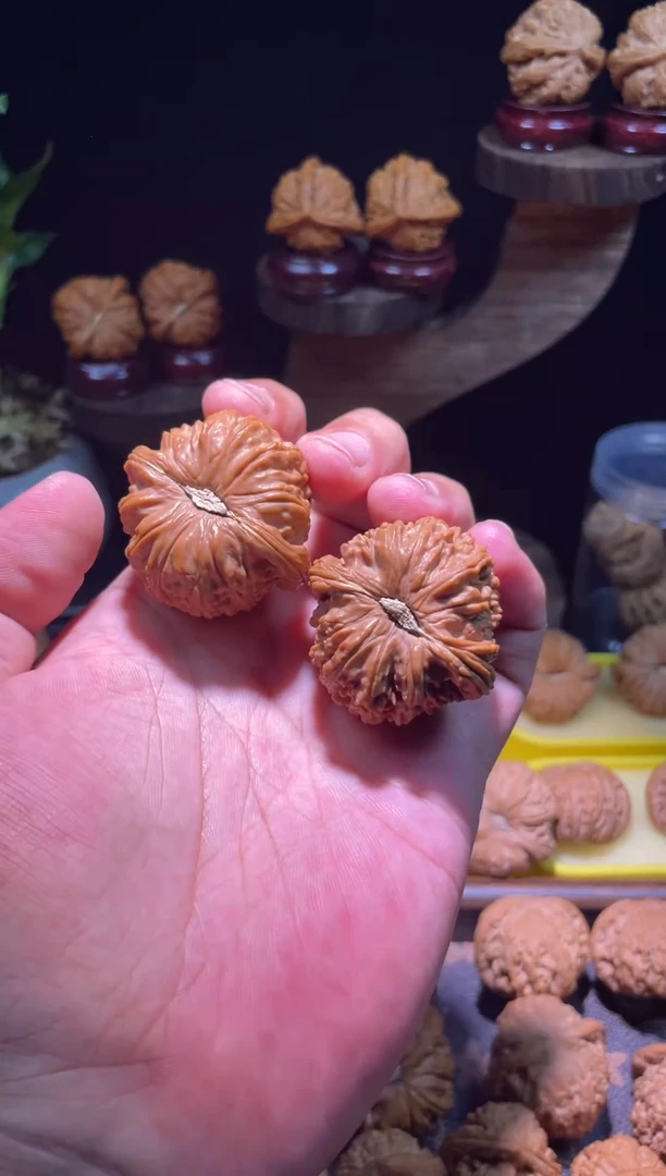 文玩核桃把件40全品球白以打底