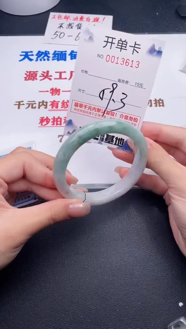 未镶嵌手镯翡翠13