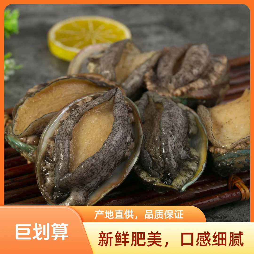 22头鲍鱼超划算，2元一个，美味实惠！