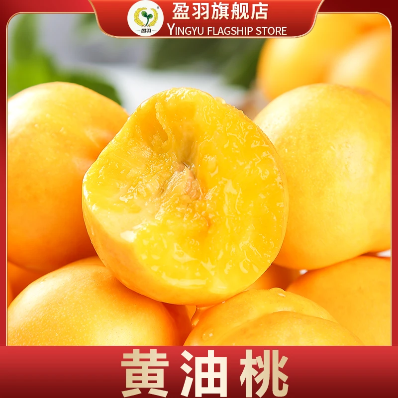 【盈羽】山东蒙阴黄油桃3斤/4.5斤单果150g+