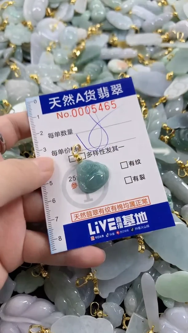颈饰未镶嵌翡翠天然A货翡翠