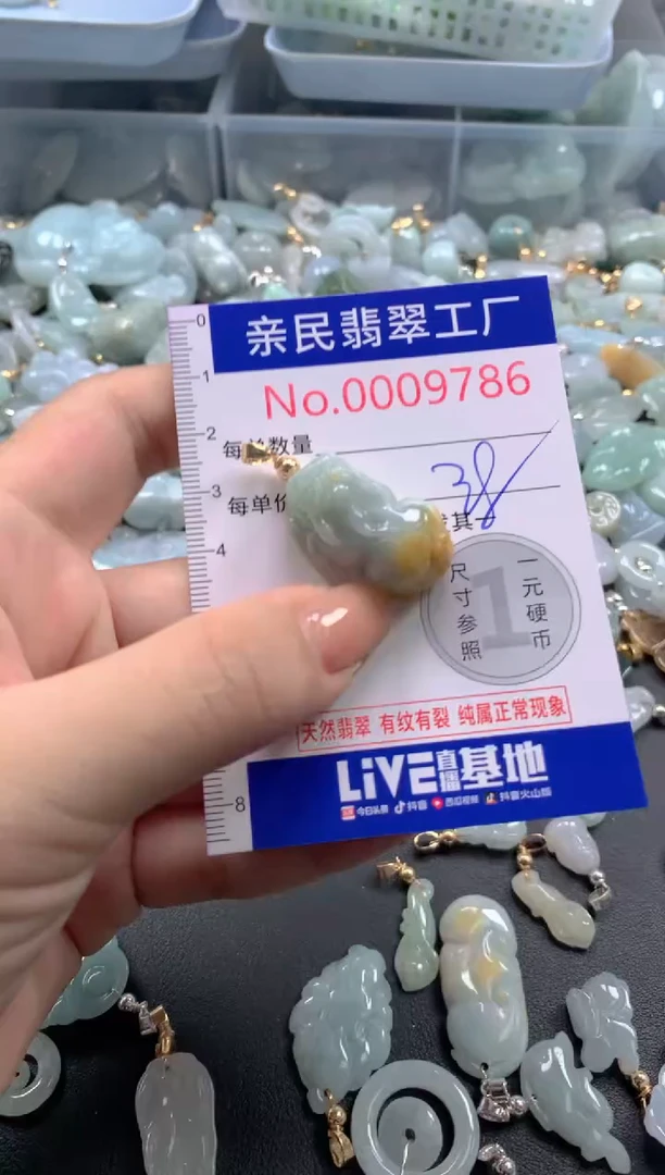 颈饰未镶嵌翡翠9786