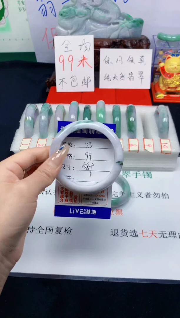 未镶嵌手镯翡翠23