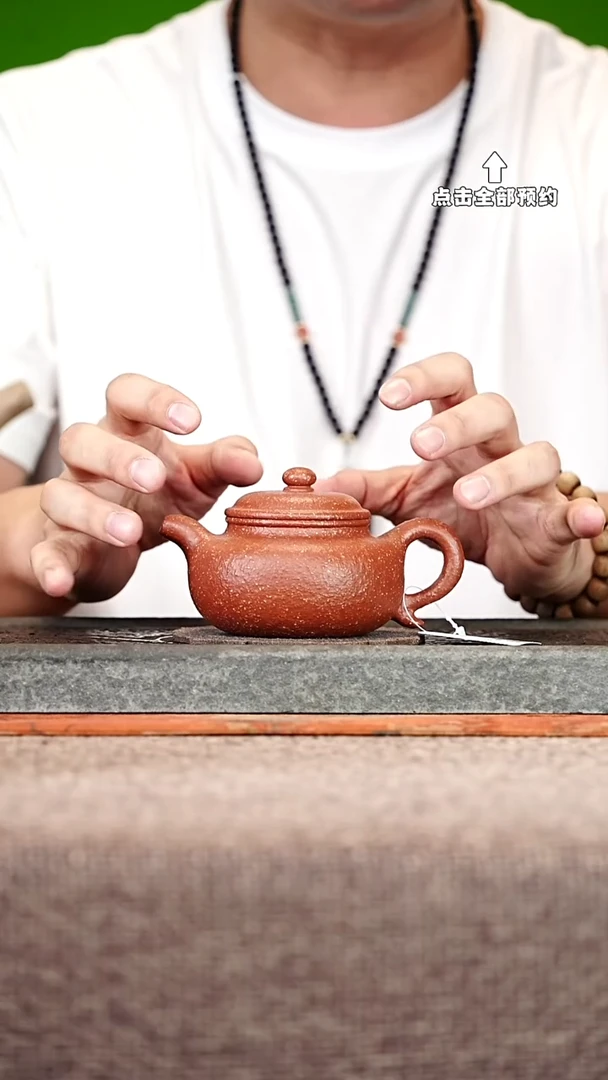 宜兴紫砂茶壶茶壶6