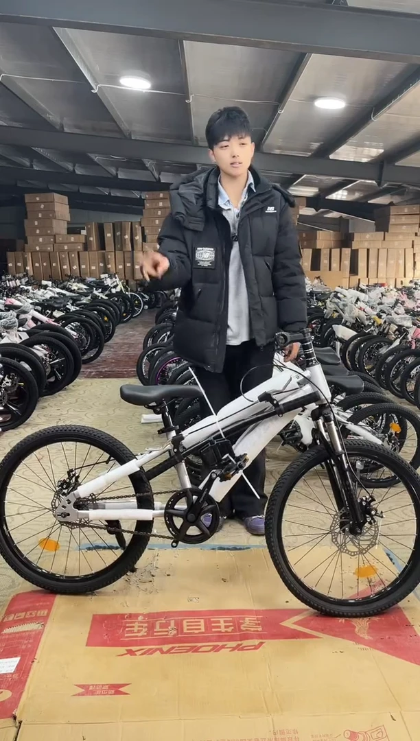 22寸-单速-银色【微瑕运损，不退不换】